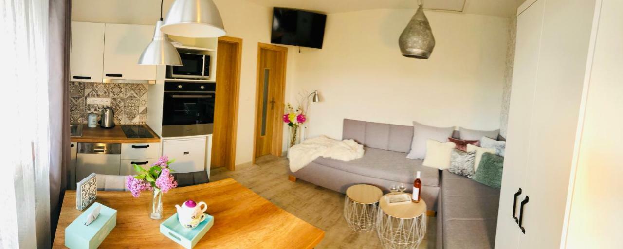 Apartmany Central Liptov Liptowski Mikułasz Zewnętrze zdjęcie