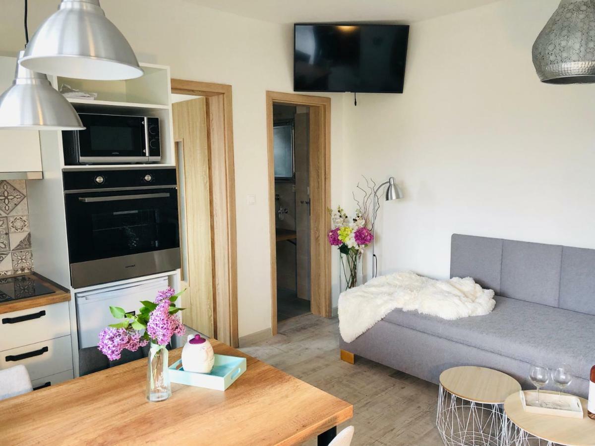 Apartmany Central Liptov Liptowski Mikułasz Zewnętrze zdjęcie